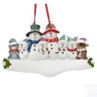 ROFM-006CD Snow family 